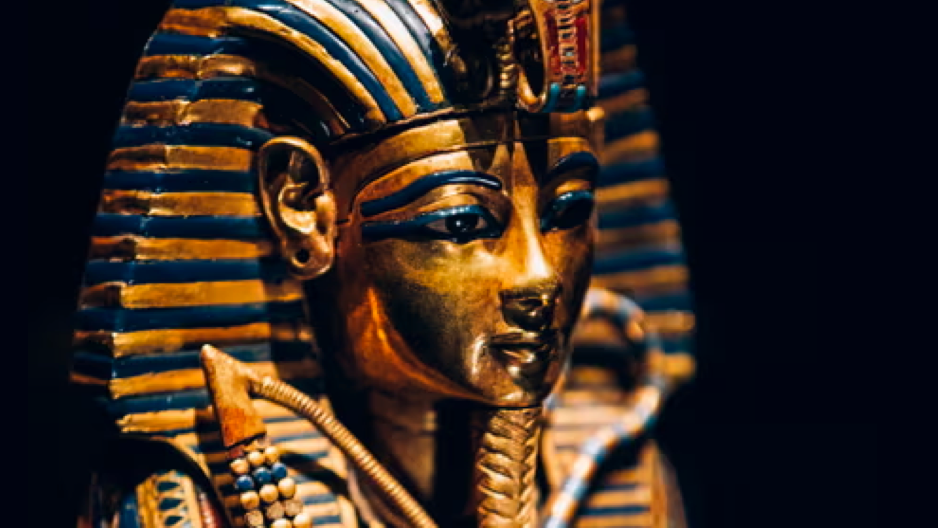 Tutankhamun Exhibition